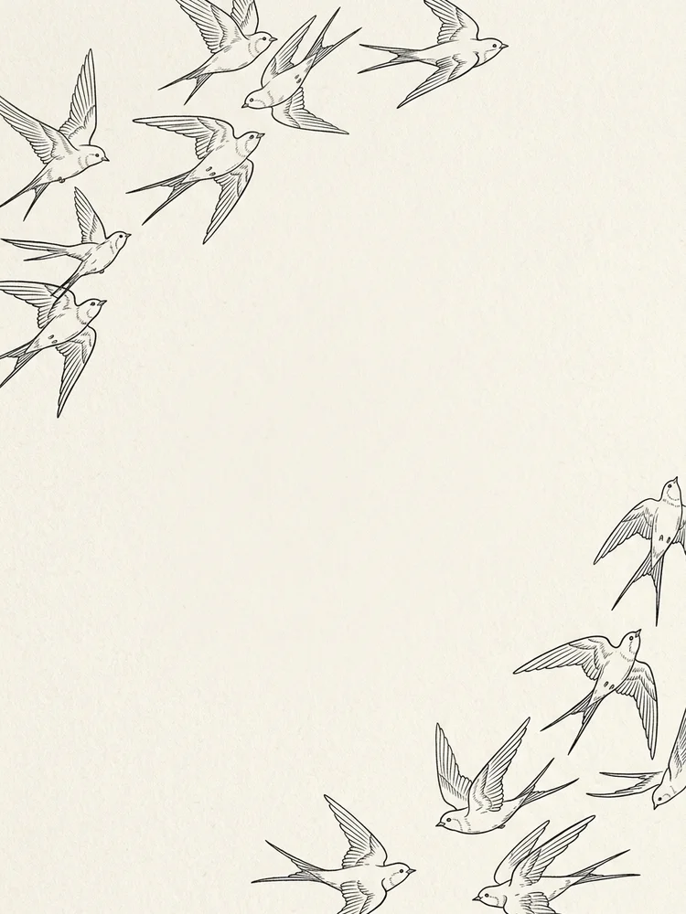Swallows — a free wedding invitation template on InviteDrop